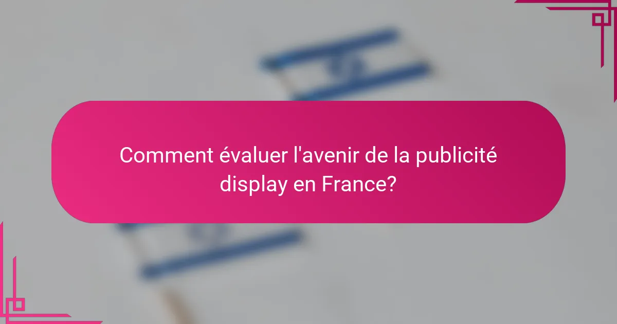 Comment évaluer l'avenir de la publicité display en France?