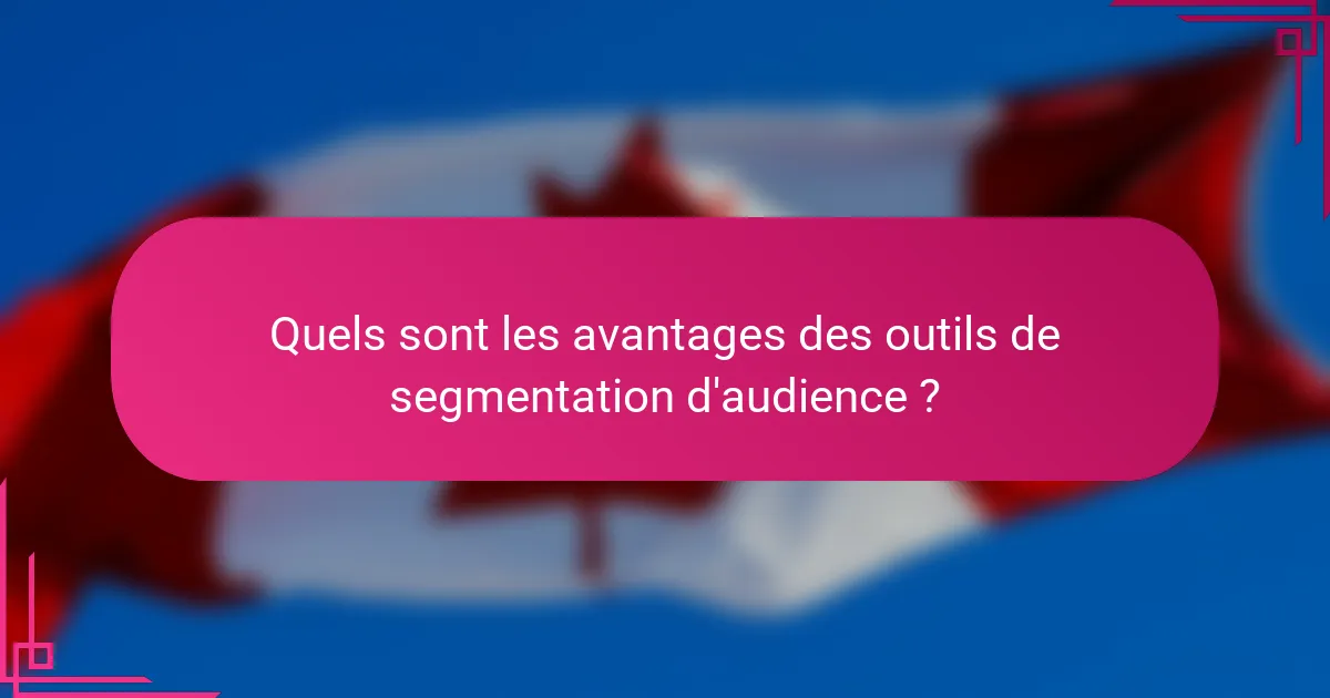 Quels sont les avantages des outils de segmentation d'audience ?