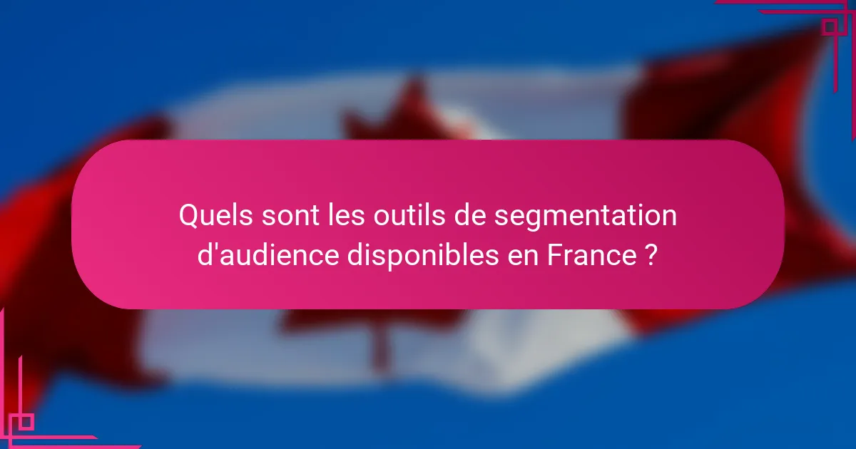 Quels sont les outils de segmentation d'audience disponibles en France ?